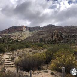 38_CB_fieldwork_-_vistas_original